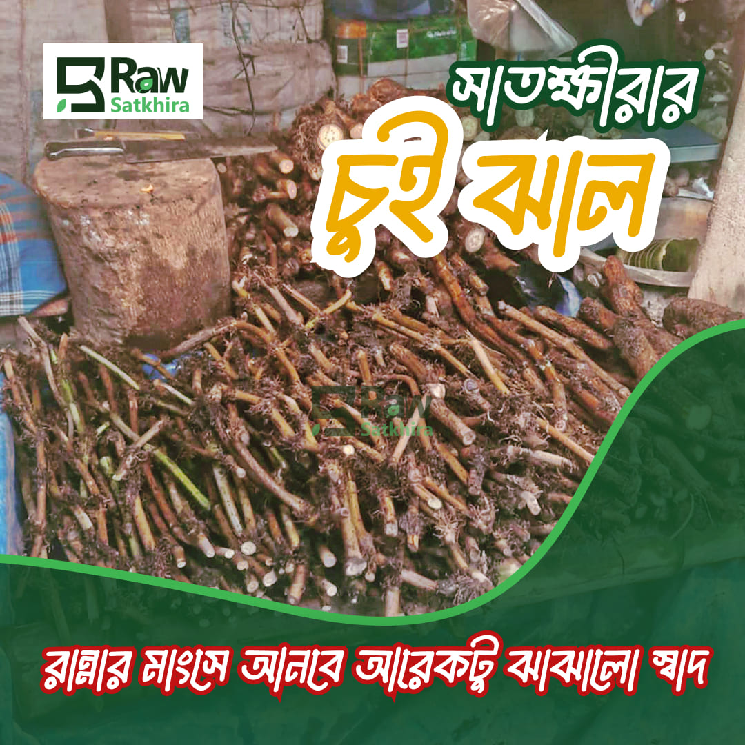 সাতক্ষীরার ঐতিহ্যবাহী চুই ঝাল (200g/500g/1kg) - Image 2