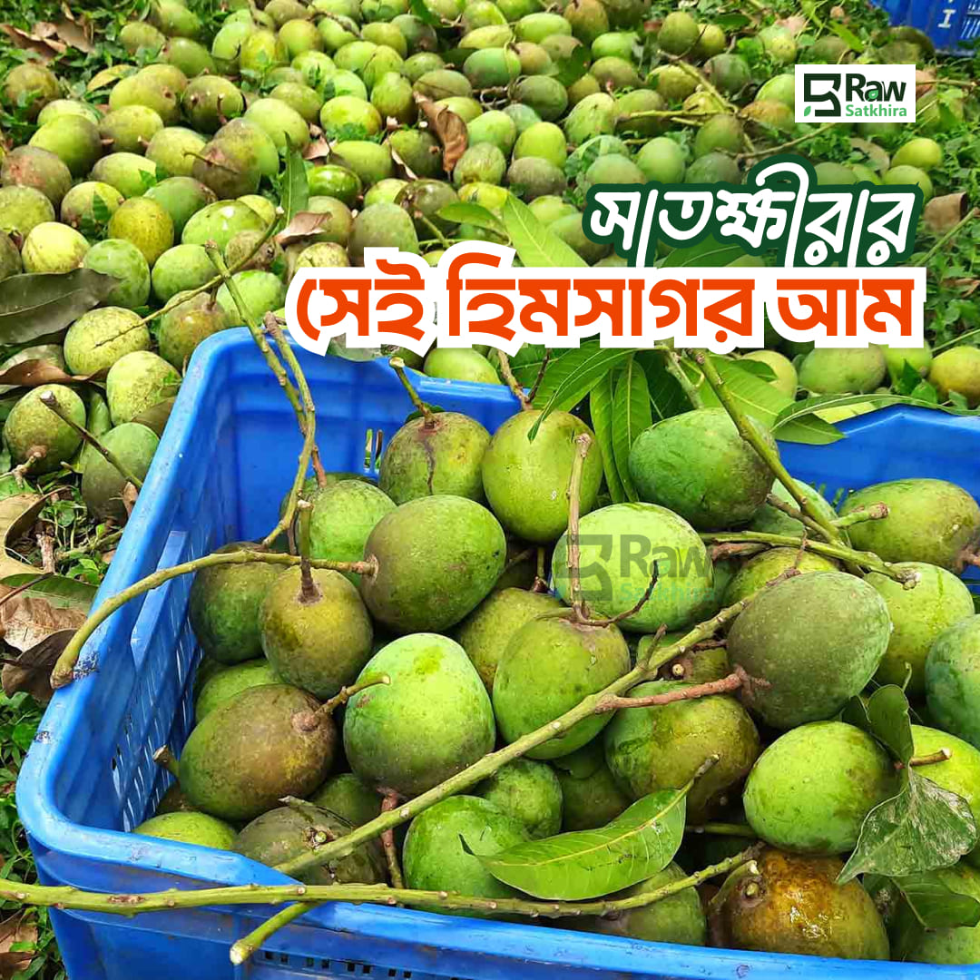 সাতক্ষীরার খাঁটি হিমসাগর আম | মৌসুমি স্পেশাল | রসালো ও মিষ্টির রাজা (১০ কেজি কমপক্ষে) - Image 2